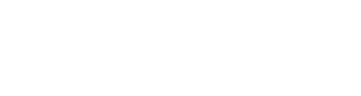 n_logo1