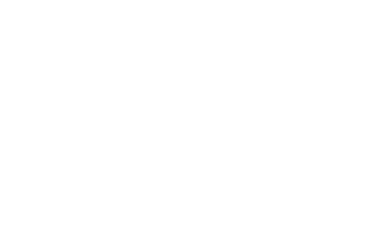 n_logo1