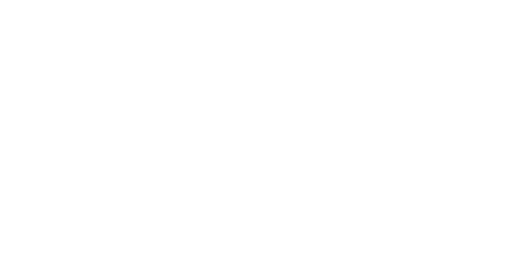 n_logo1